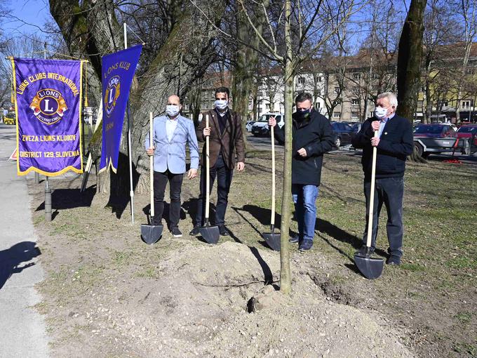 Pri sajenju prvih izmed 30 mladih dreves v Cekinovem drevoredu se je vodilnim Lions kluba Ljubljana pridružil tudi ljubljanski župan Zoran Janković.  | Foto: Lions klub Ljubljana