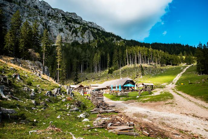 Planšarija Dolga njiva | Ko je zdajšnji oskrbnik planine Dolga njiva pod Košuto Matjaž Kleindienst prvič zagledal ta kotiček karavanškega raja, ga je spomnil na pravljico o Janku in Metki. | Foto Peter Podobnik / Sportida