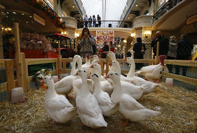 veleblagovnica GUM, Moskva | Foto: Reuters