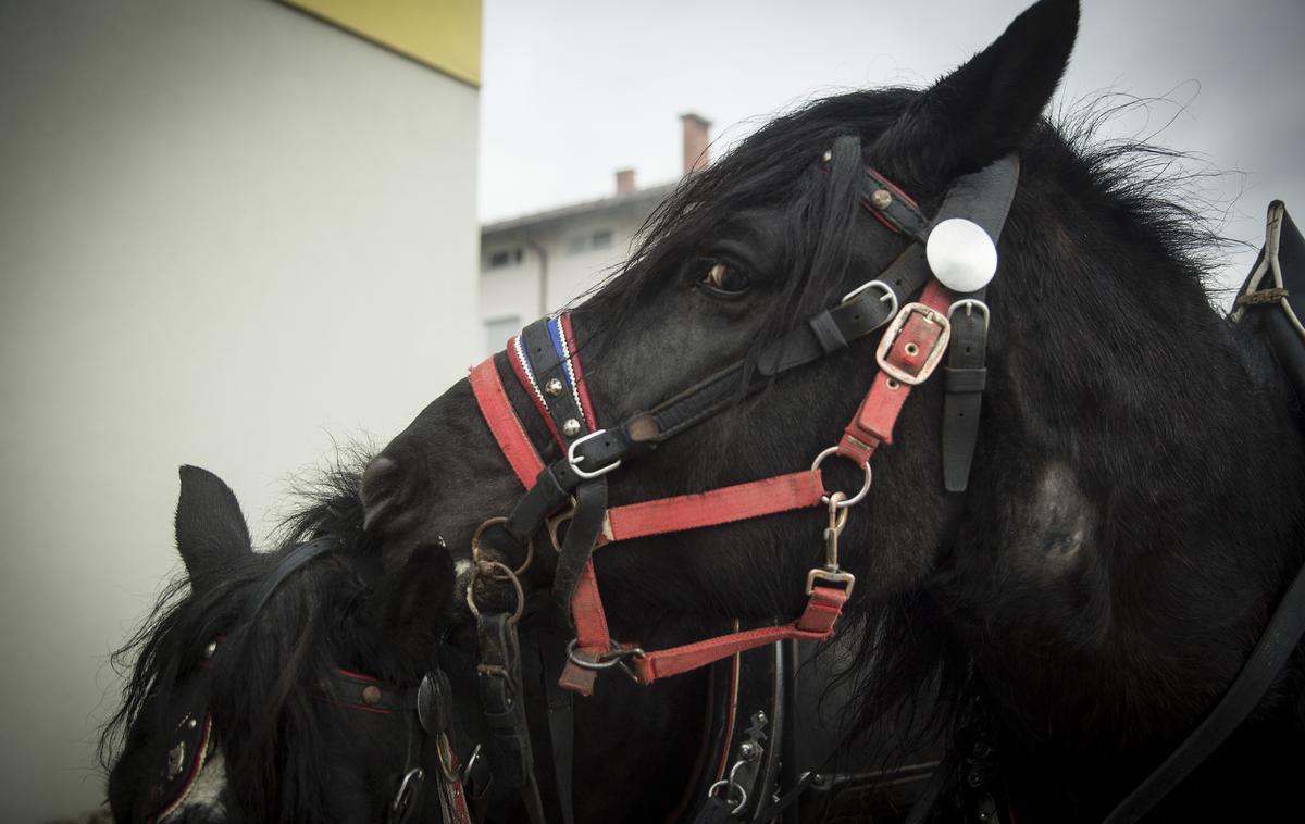 Blagoslov konjev | Foto Ana Kovač