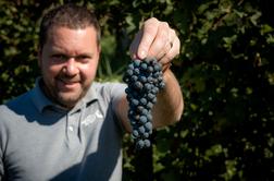 Zlata medalja za slovensko vino