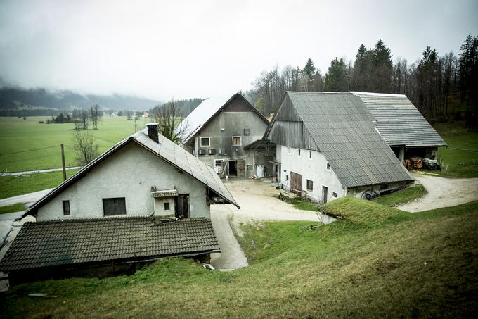 Kmetija je velika 25 hektarjev, še 20 hektarjev pašnikov imajo najetih. | Foto: Ana Kovač