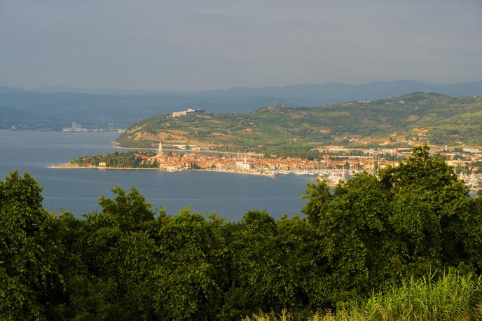 kOPER | Občina je za šest občinskih nepremičnin  prejela več kot pol milijona evrov.  | Foto Guliverimage