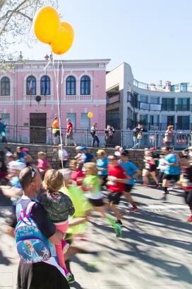 Istrski maraton 2017