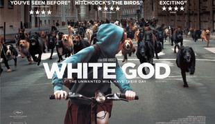 Beli bog (Fehér isten/White God)