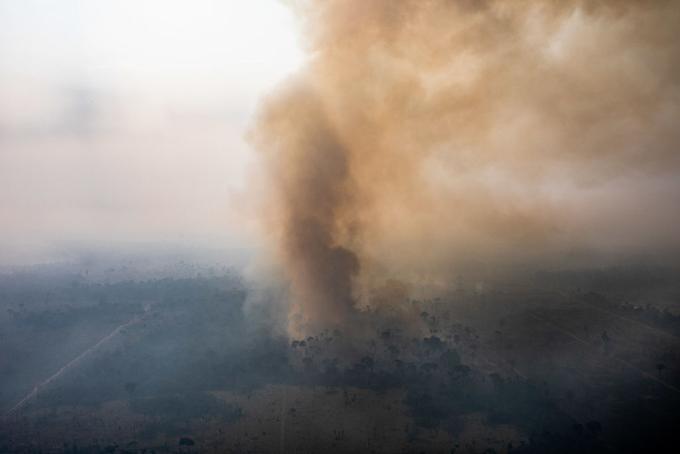 amazonski pragozd | Foto: Getty Images