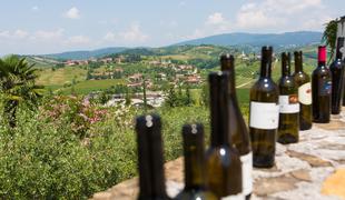 Goriška brda kot romantična razglednica iz nekih drugih časov (video)