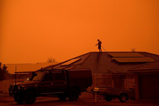 Avstralija | Foto: Reuters