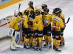 Vienna Capitals