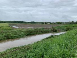 Slovenska Bistrica poplave njive