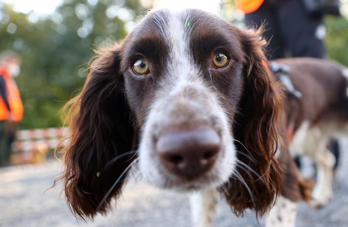 Monty | Foto: Reuters