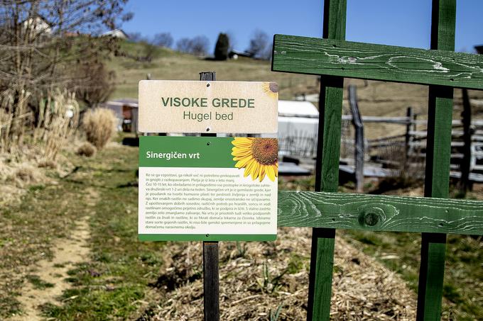 "Vedeti moramo, da je prst podobno kot mi živi organizem. Potrebuje hrano, vodo, zrak in zaščito. To ji moramo dati, klasični sistemi kmetovanja ji tega ne dajo. Dajo ji le umetna gnojila. To je podobno, kot bi nas priklopili na cevke in če bi jih odklopili, bi umrli." | Foto: Ana Kovač