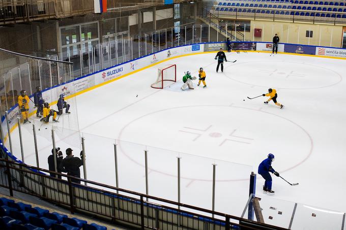 hokejska akademija Anže Kopitar Tomaž Razingar | Foto: Grega Valančič/Sportida