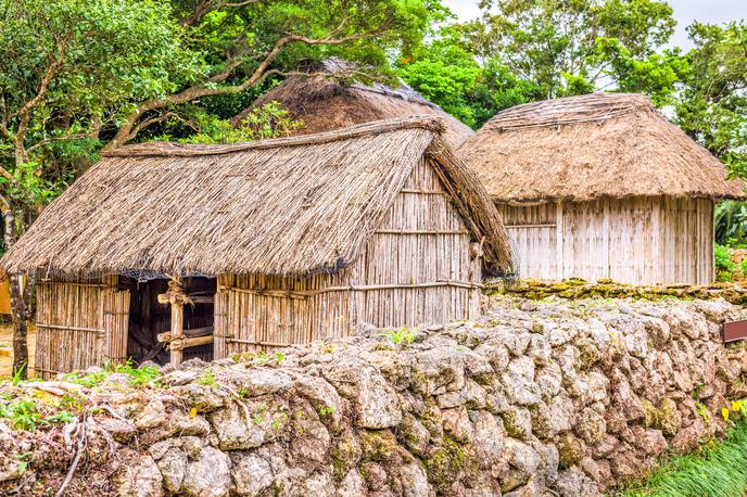 Tradicionalna vas | Foto Shutterstock