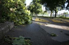 Posledice nočnega neurja v Ljubljani.