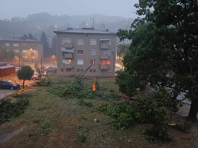 V Lendavi je močan veter podrl veliko število dreves. | Foto: Denis Slavin / Neurje.si