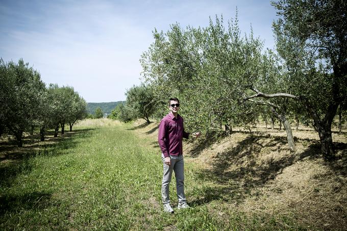 V restavraciji porabijo veliko lastnega olivnega olja. | Foto: Ana Kovač