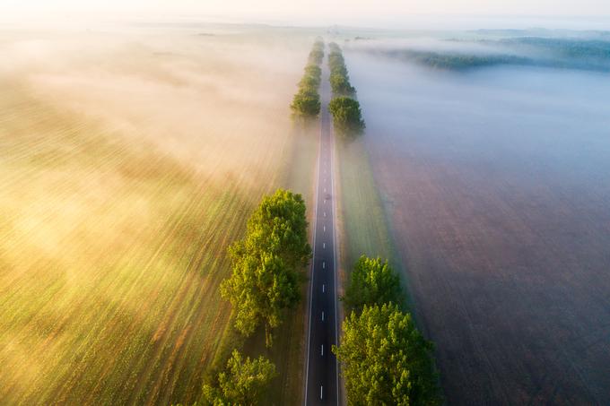 Foto: Gettyimages | Foto: 