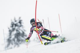 Zlata lisica, slalom