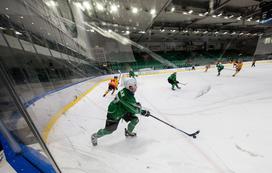 Alpska liga: Olimpija - Asiago (1-. tekma finala)