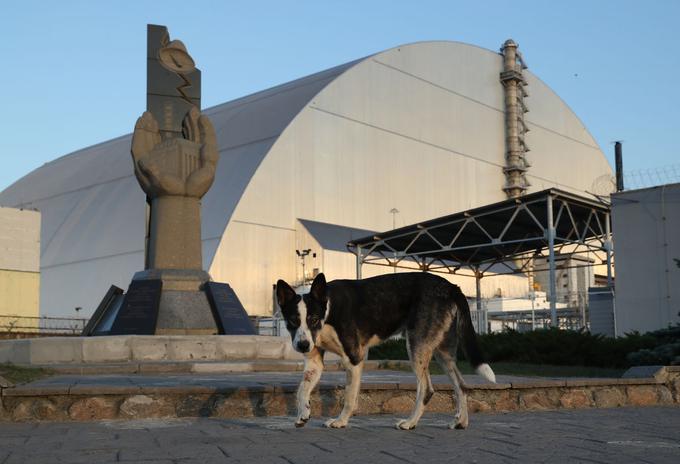 Černobil | Foto: Getty Images