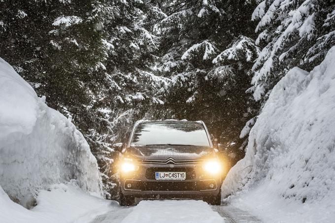 Citroën, biatlon, Pokljuka | Foto: Bojan Puhek