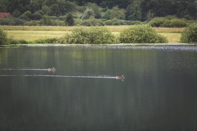 Podpeško jezero | Foto: Bojan Puhek