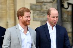 William in Harry bosta imela ločena govora ob razkritju Dianinega kipa