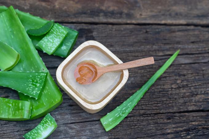 Aloe vera omili srbečico in prijetno hladi mesto pika. | Foto: Getty Images