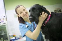 veterinarka Urška Drobnič