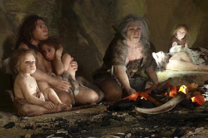 Neandertalci v muzeju v Krapini | Do izumrtja naših prednikov je po ugotovitvah genetikov prišlo v obdobju, še preden je prišlo do odcepitve skupne veje neandertalcev in denisovancev od sodobnega človeka. Ta odcepitev se je zgodila pred okoli 600 tisoč leti v Afriki. Na fotografiji: rekonstrukcija neandertalcev. | Foto Reuters