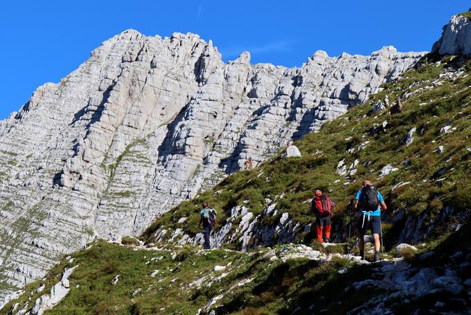 Po mulatjeri proti vrhu | Foto: Matej Podgoršek