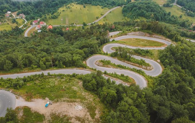 kočevska medvedi osilnica | Foto: 