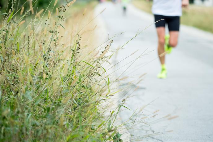 Maraton - splošna | Foto Vid Ponikvar