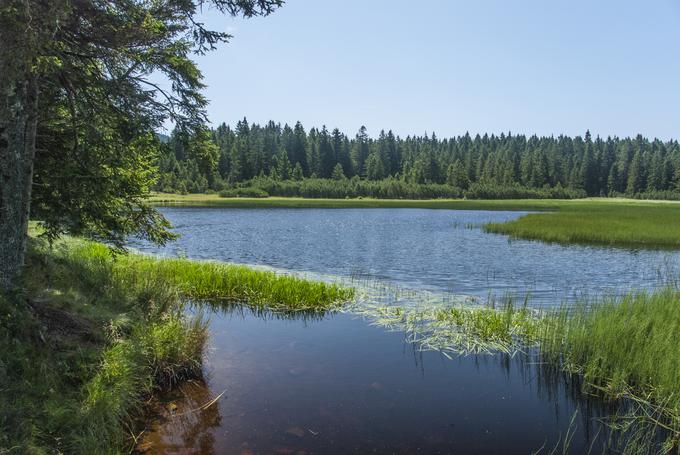 Črno jezero | Foto: Ivan Majc