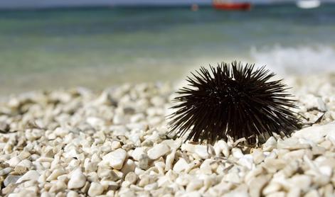 Prva pomoč na plaži