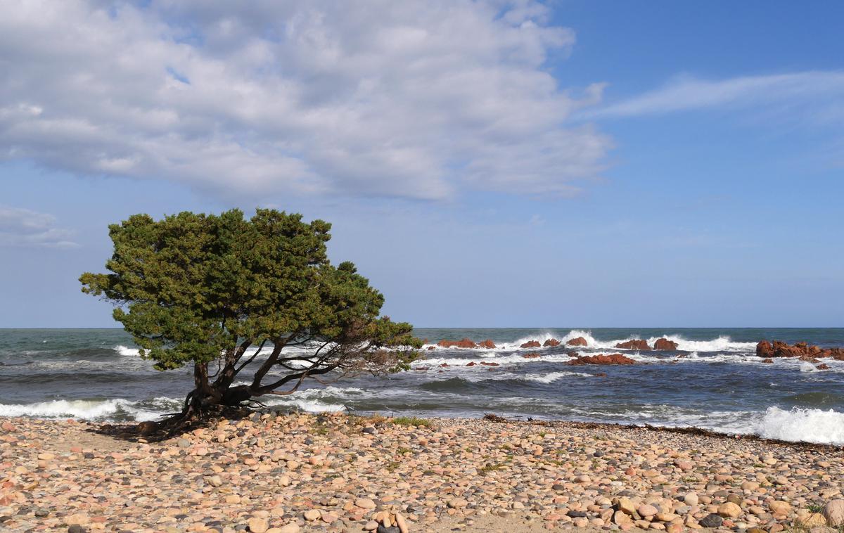 Obala na Sardiniji | Obala na Sardiniji. Fotografija je simbolična. | Foto Guliverimage