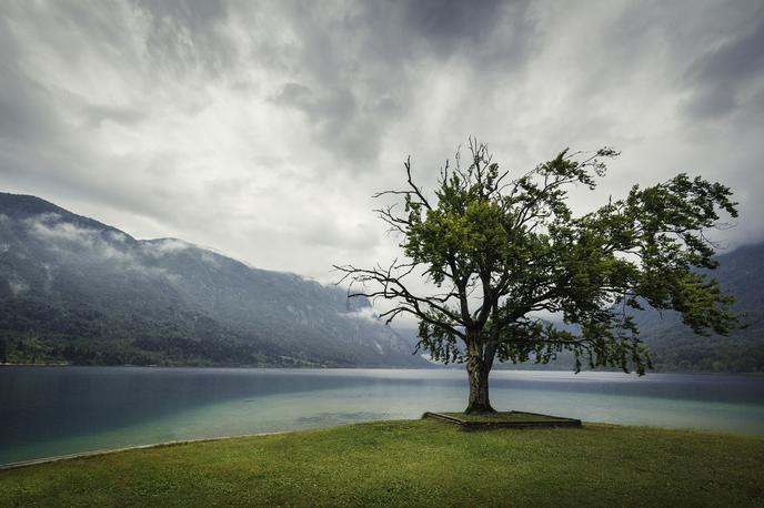 Bohinjsko jezero, Bohinj | Foto Thinkstock