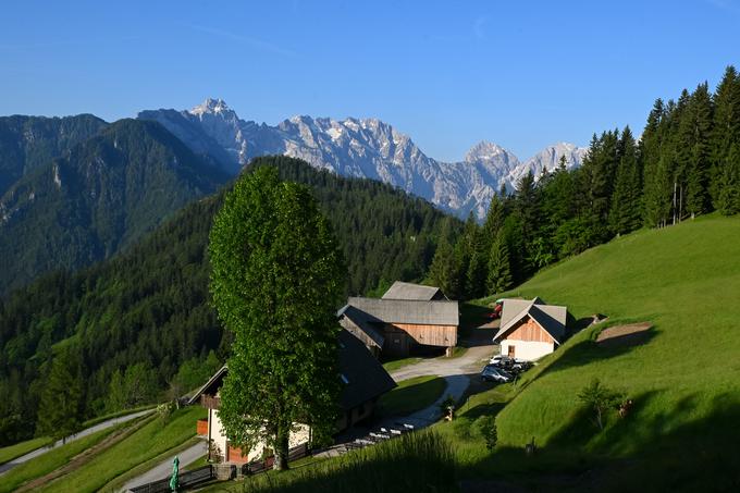 Izhodišče je kmetija Rogar (Štiftar) ob Solčavski panoramski cesti. S pogledom na najvišje vrhove Kamniško-Savinjskih Alp. | Foto: Matej Podgoršek