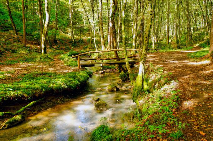 Dolenjska Machova pot | Foto: Društvo Machova dediščina pod Gorjanci