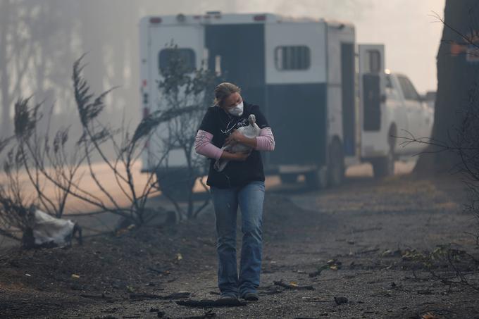 Kalifornija, požar | Foto: Reuters