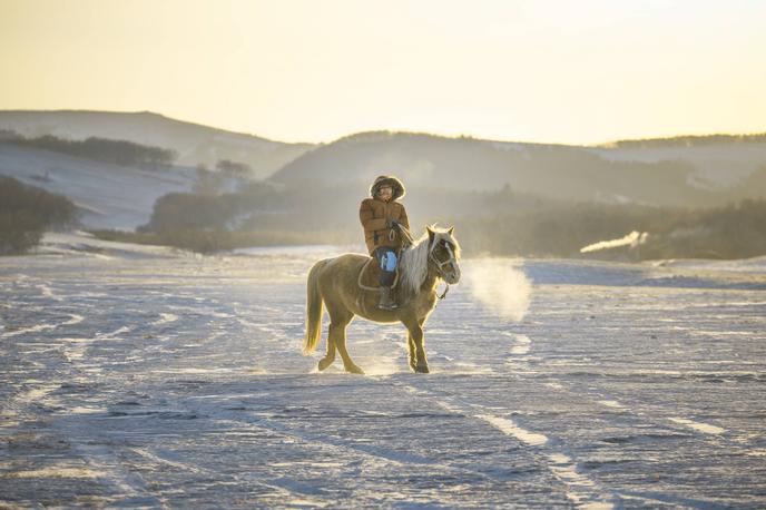 Mongolija | "Odlično narejen film, skorajda kot igrani film. Odličen scenarij, lepa pripoved, ki daje misliti, brez odvečnega moraliziranja. Odličen preplet med lokalnimi ljudmi in njihovim znanjem ter znanstvenim pristopom. Ustvarjalci so uspeli najti odličen primer za vsesplošne probleme človeštva. Film daje gledalcu ob koncu občutek, da je v Mongoliji že bil," je v obrazložitvi zapisala žirija. | Foto Guliverimage