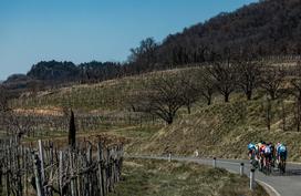 VN Nove Gorice in Vipavske doline