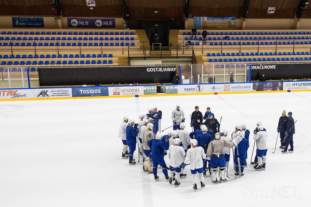 slovenska hokejska reprezentanca