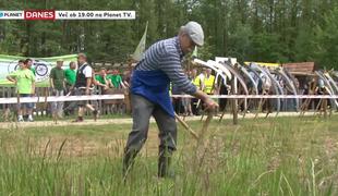 V Veliki Polani so se pomerili v košnji trave (video)