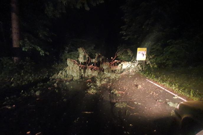 Vreme, podrto drevo, oblaki | Največjo nevarnost poleg nalivov predstavljajo vetrolomi. | Foto David Florjančič