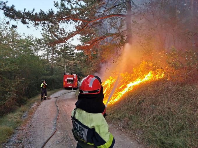 Požar na Krasu se je razširil na približno 390 hektarjev. | Foto: Civilna zaščita Severne Primorske