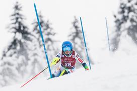 Zlata lisica, slalom