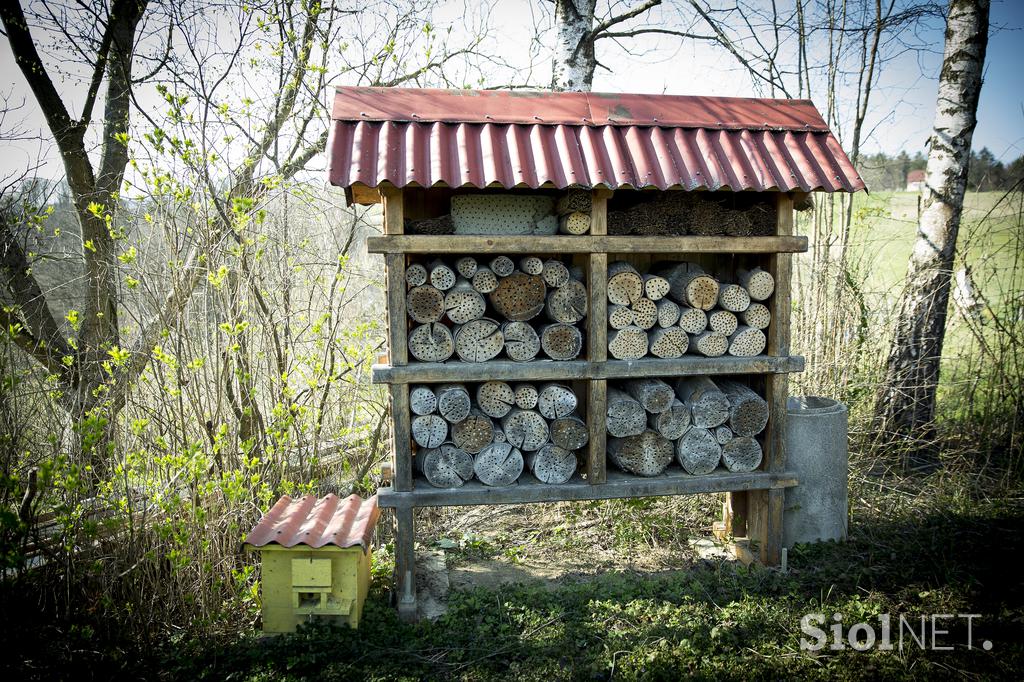 Stanko Valpatič ekološka kmetija vegan veganski izdelki Za naravo Društvo za osvoboditev živali krava veganstvo hrana