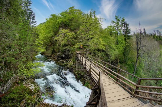 soteska Vintgar | Foto: Shutterstock